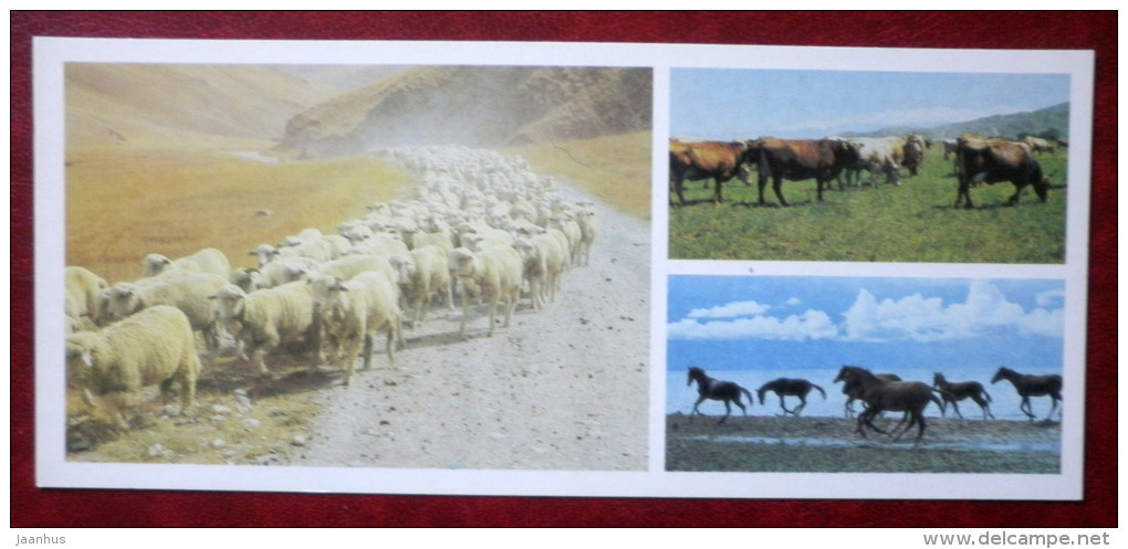 Herding Sheep - The Ala-Too Breed Of Cows - The Neo-Kirghiz Breed Of Horses - 1984 - Kyrgystan USSR - Unused - Kyrgyzstan