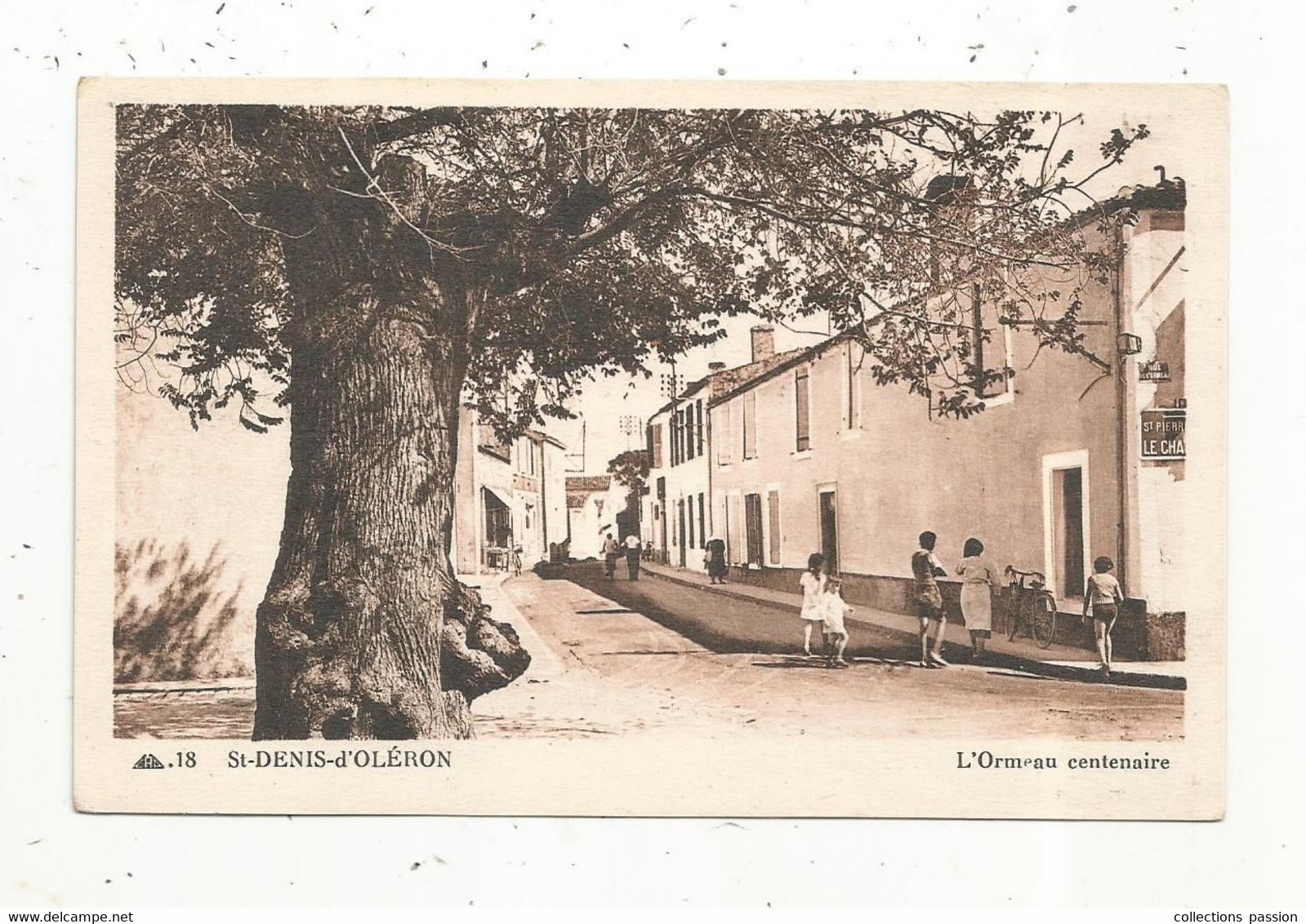 Cp, ARBRE ,17 , ILE D'OLERON , SAINT DENIS D'OLERON , L'ORMEAU CENTENAIRE ,vierge - Trees