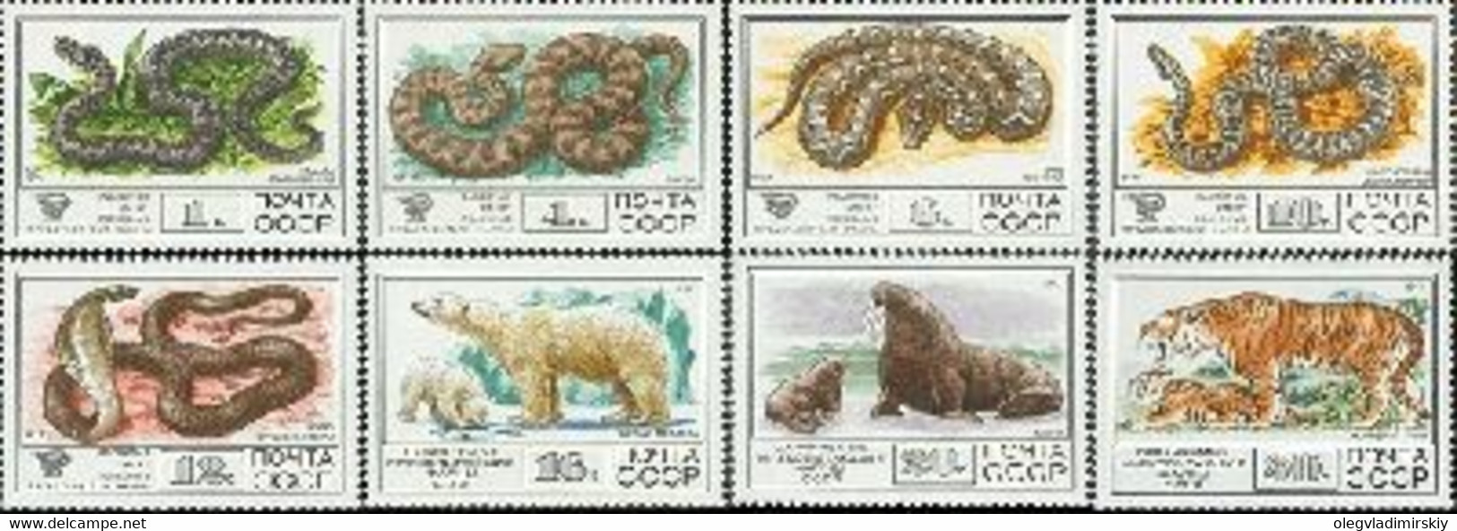 USSR Russia 1977 Rare Fauna Of The USSR Snackes Tiger White Bear Walrus Set Of 8 Stamps - Nuevos