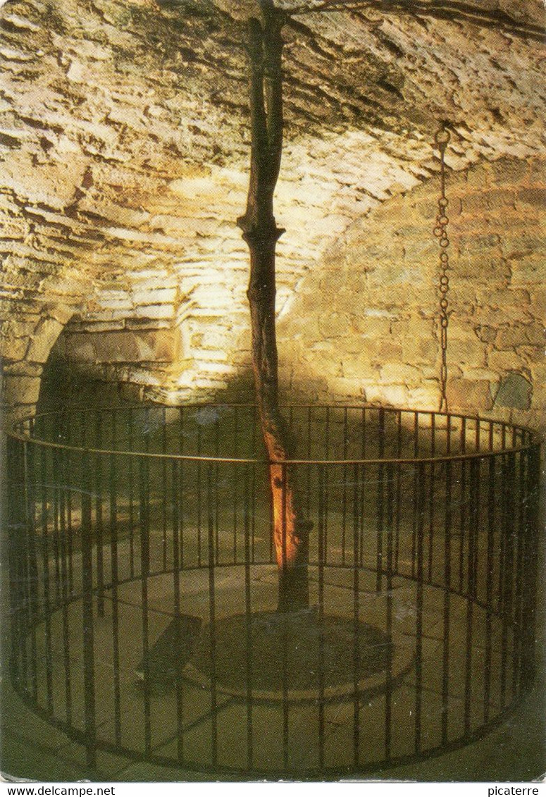 Hawthorn Tree In Dungeon,Cawdor Castle (known From Shakespeare Tragedy "MACBETH") - Nairnshire