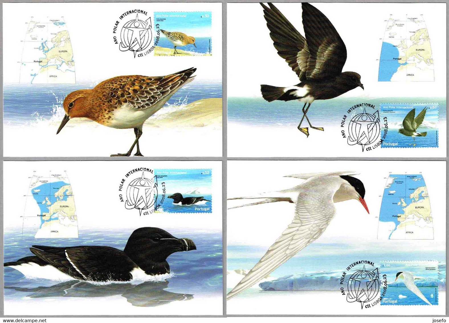 AÑO POLAR INTERNACIONAL - AVES - BIRDS. Set 4 TM. Lisboa 2008 - Arctic Tierwelt
