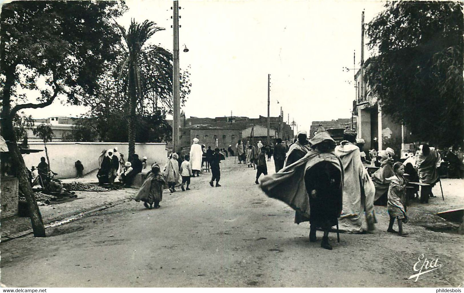 ALGERIE  M'SILA  Avenue De Barika - M'Sila