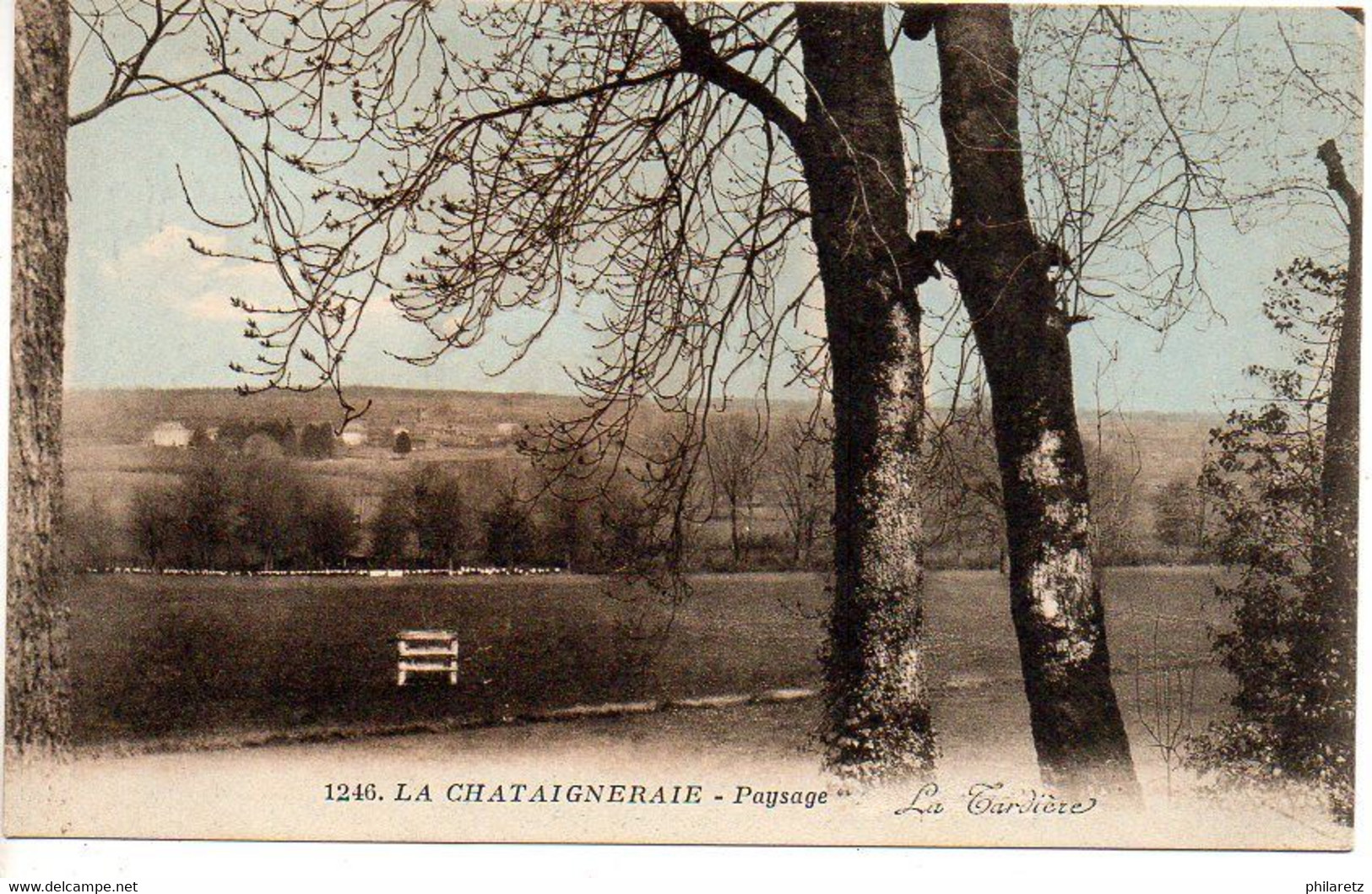 La Chataigneraie : Paysage (La Tardière) - La Chataigneraie