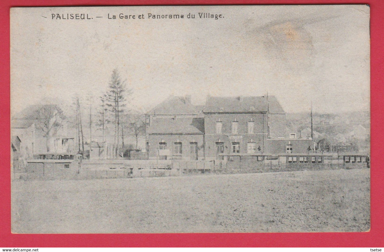 Paliseul -  La Gare Et Panorama Du Village ( Voir Verso ) - Paliseul