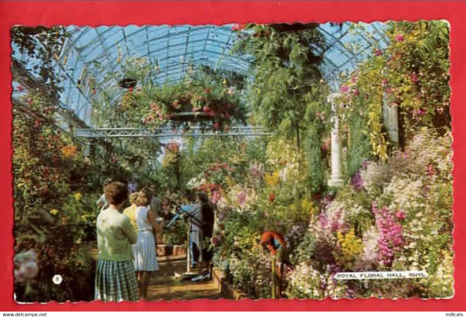 FLINTSHIRE  RHYL  IN ROYAL FLORAL HALL  BAMFORTH RP   Pu 19766   VIEW 2 - Flintshire