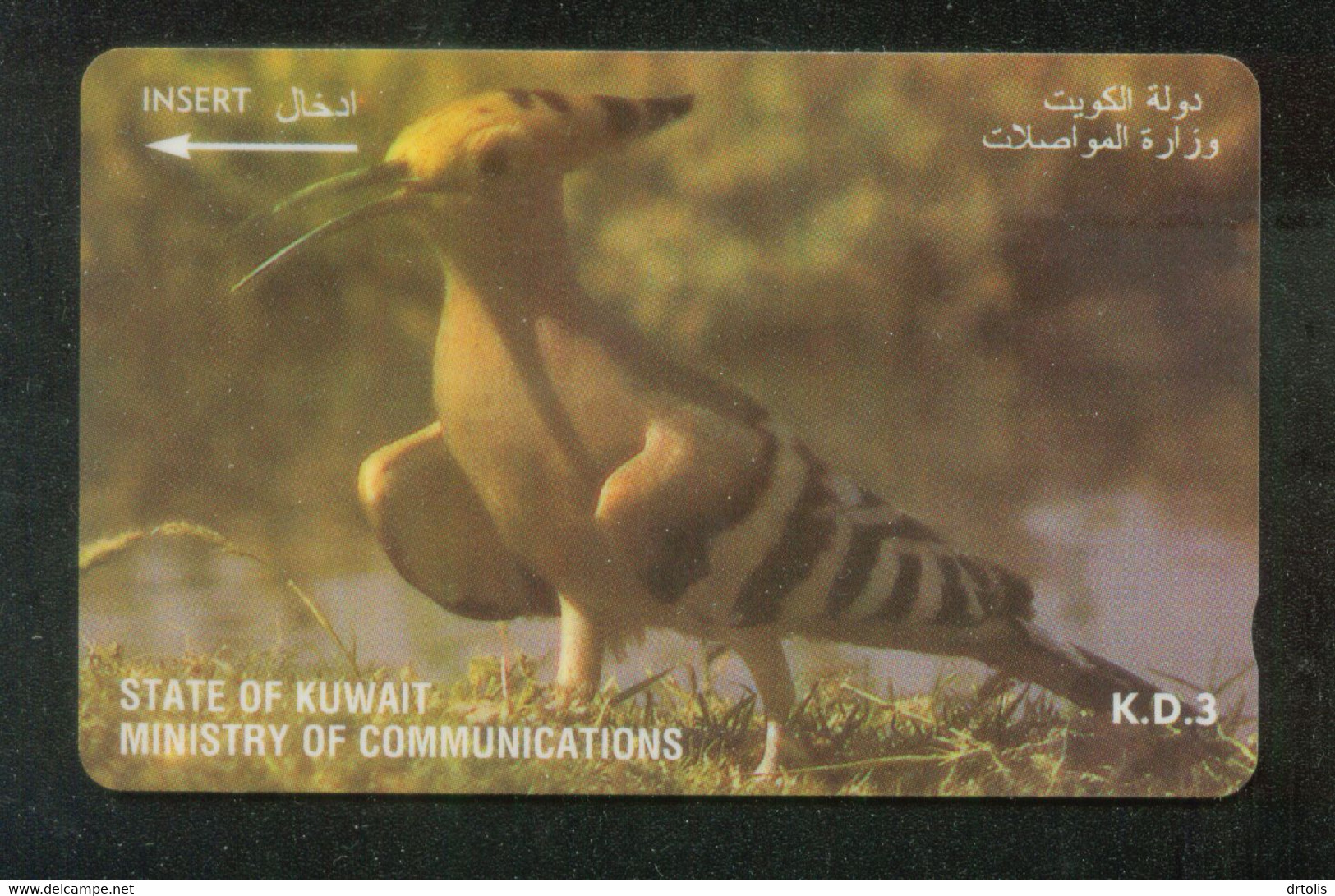 KUWAIT / BIRD - Pájaros Cantores (Passeri)