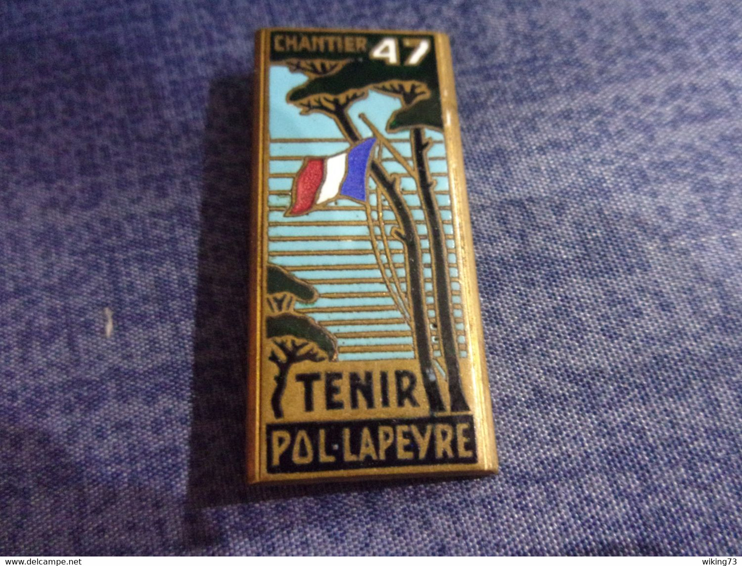 Insigne Chantier De La Jeunesse Française 47 "Tenir - Pol Lapeyre" - CFJ - Vichy - Hueste