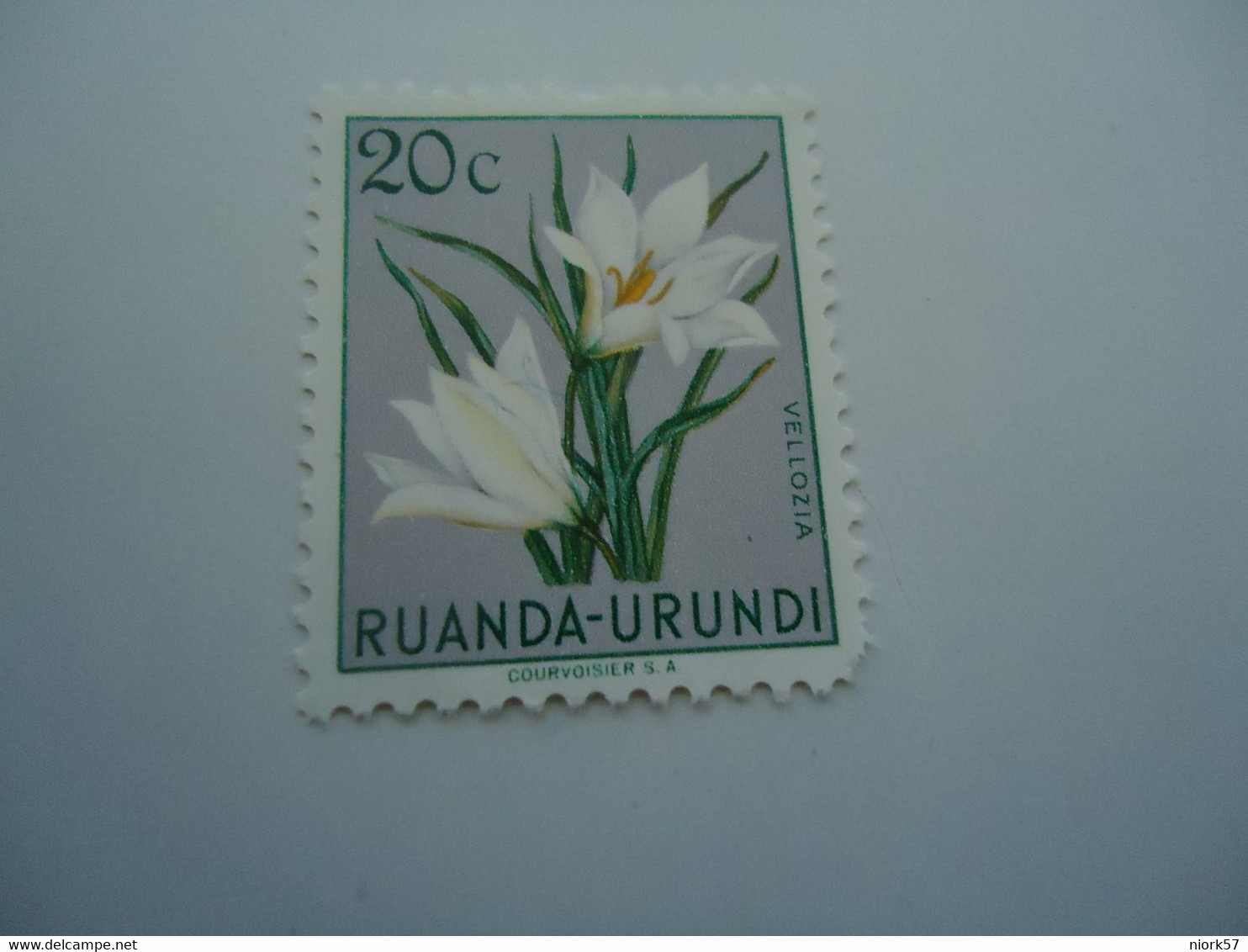 RUANDA-URUNDI MNH  STAMPS  FLOWERS - Other & Unclassified