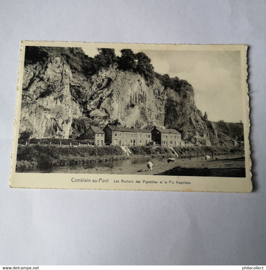 Comblain Au Pont // Les Rochers Des Vignobles Et Le Pic Napoleon 1951 - Comblain-au-Pont