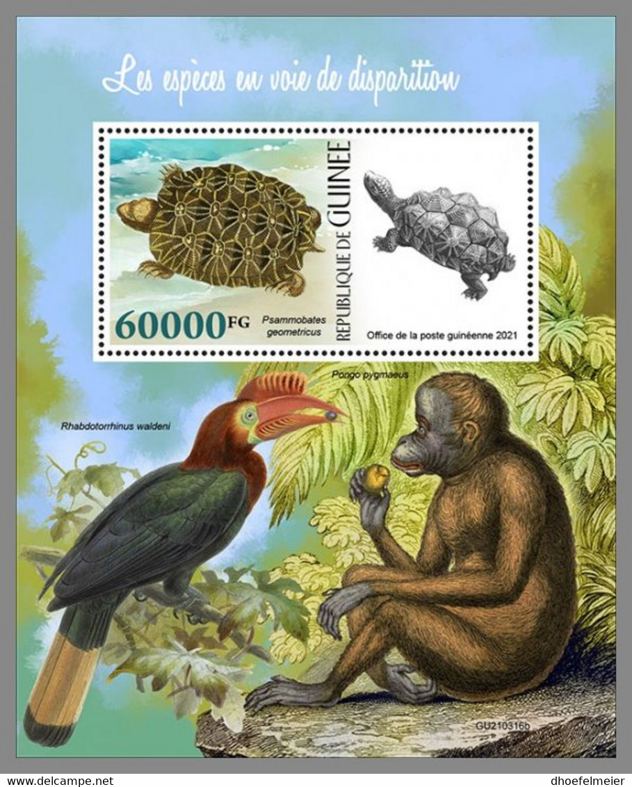 GUINEA REP. 2021 MNH Turtle Schildkröte Tortue Endangered Species S/S - OFFICIAL ISSUE - DHQ2131 - Turtles