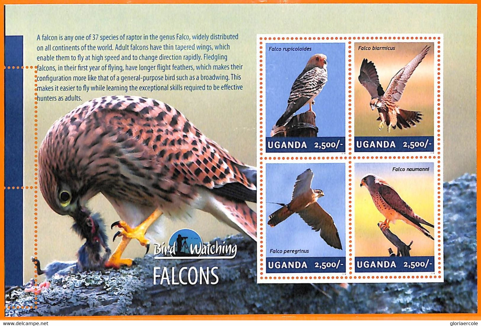 A7230 - UGANDA, Error, 2014, MISPERF MINIATURE SHEET: Falcons, Bird Watching - Grey Partridge