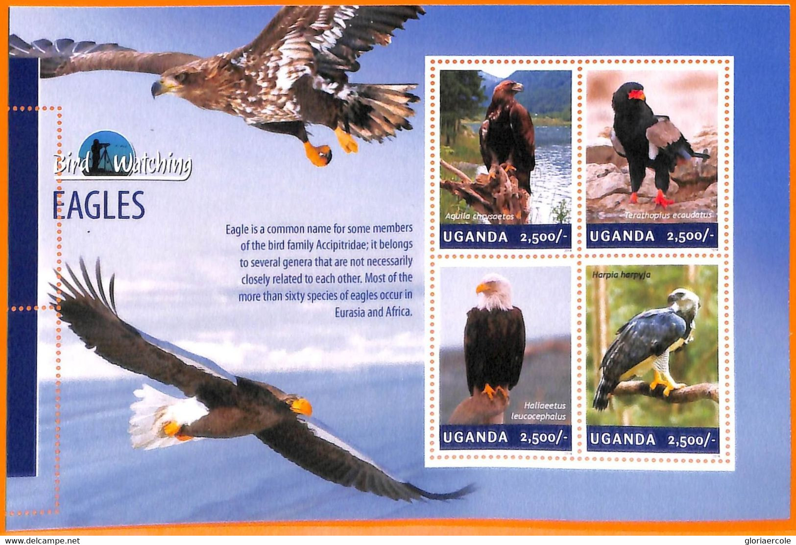 A7231 - UGANDA, Error, 2014, MISPERF MINIATURE SHEET: Eagles, Bird Watching - Grey Partridge