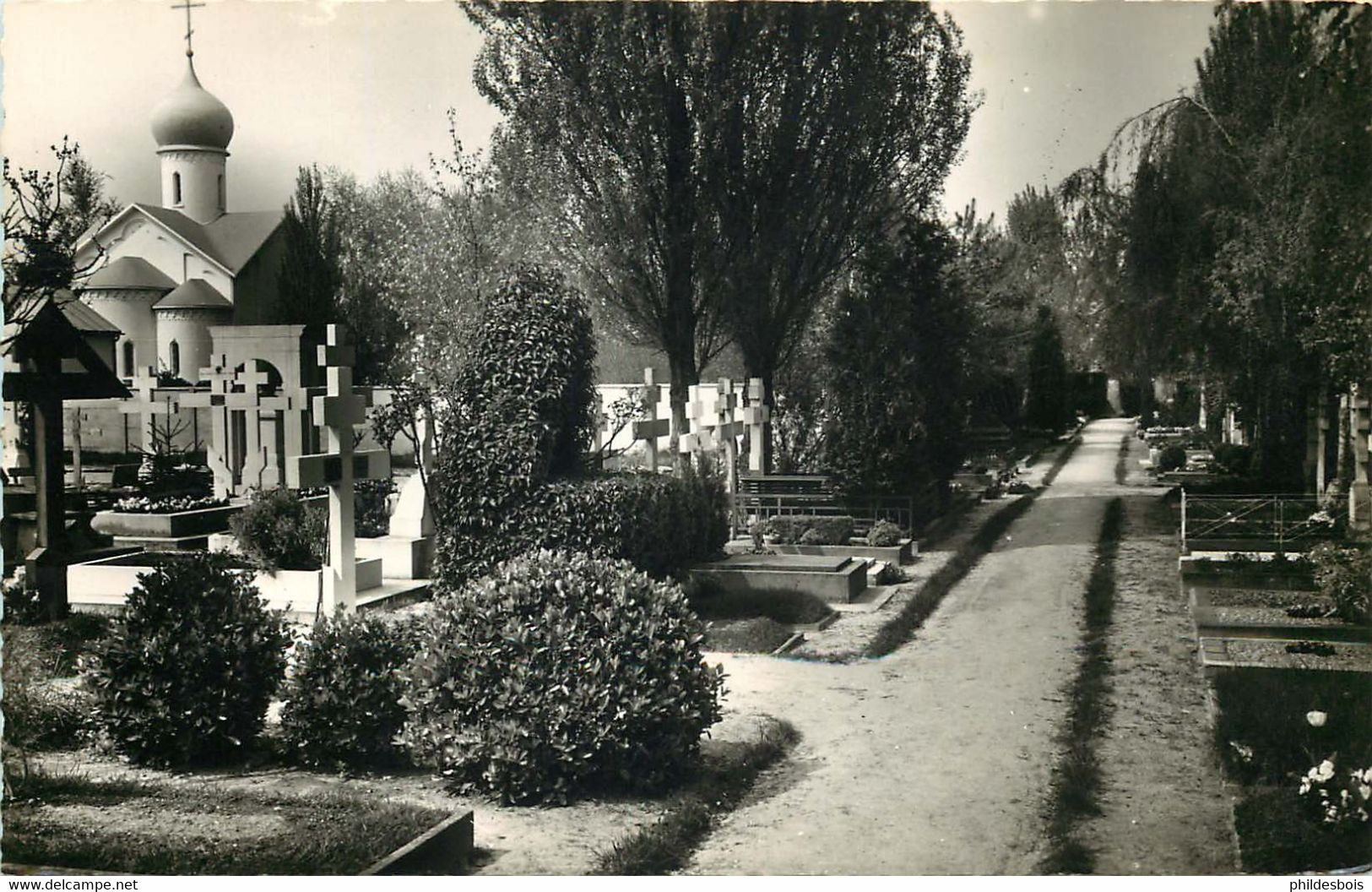 ESSONNE  SAINTE GENEVIEVE DES BOIS Cimetiere Et église Russe ( Cpsm ) - Sainte Genevieve Des Bois