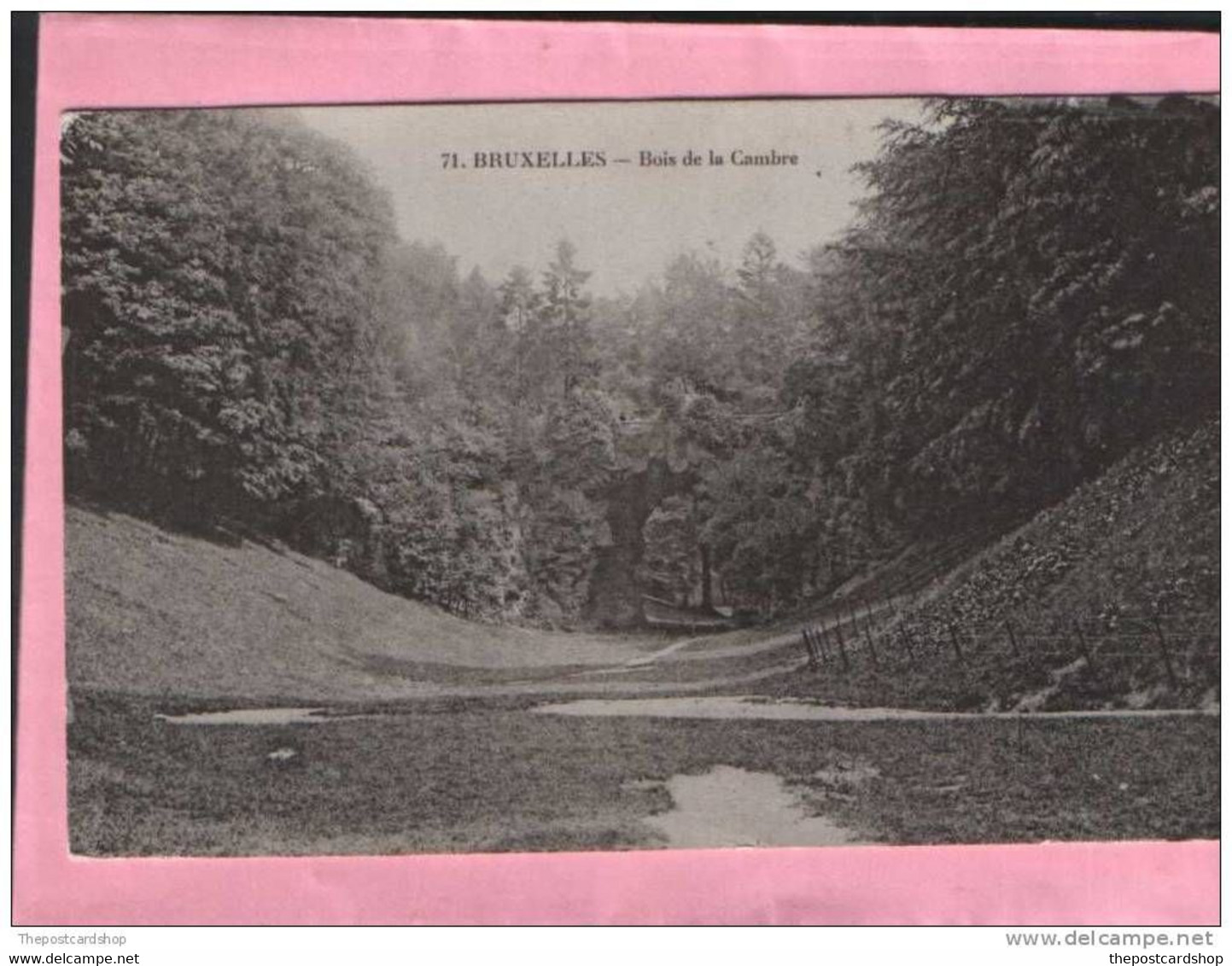 BRUXELLES No.71 Bois De La Cambre  GRAND BAZAR ANSPACH EDITEUR BRUXELLES LA BELGIQUE BELGIUM - Foreste, Parchi, Giardini