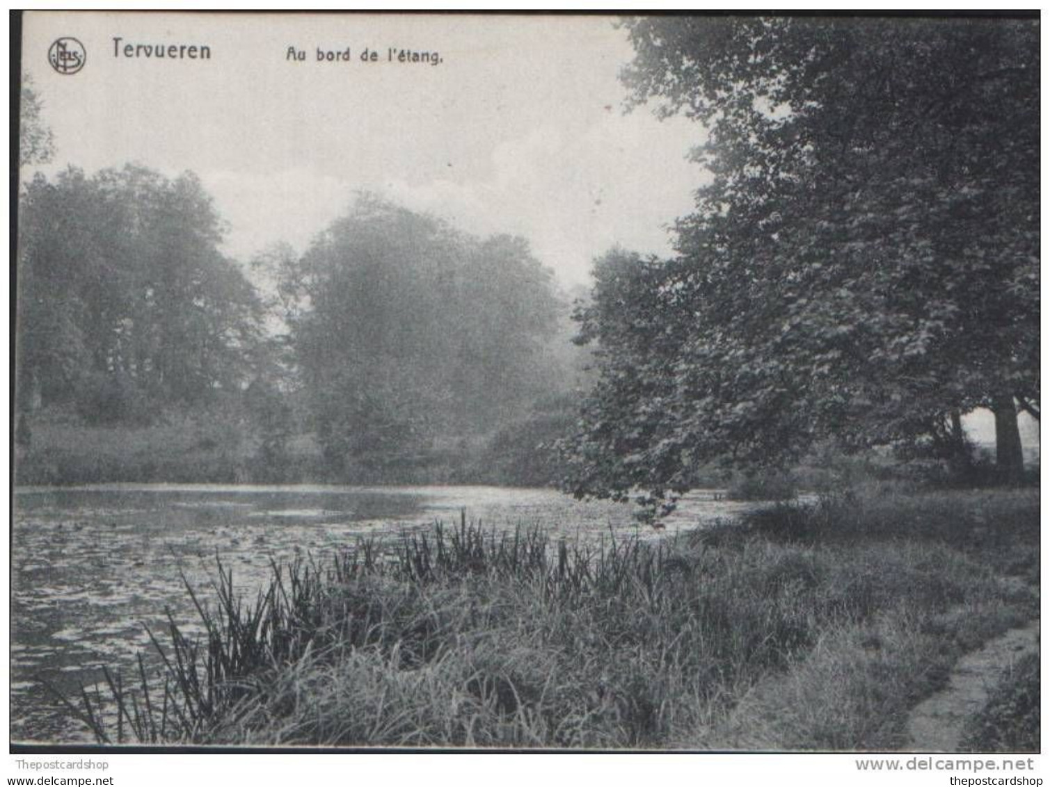 TERVUEREN AU BORD DE L'ETANG DUYSBOURG BELGIUM LA BELGIQUE BRABANT FLAMAND Environs De Bruxelles - Tervuren