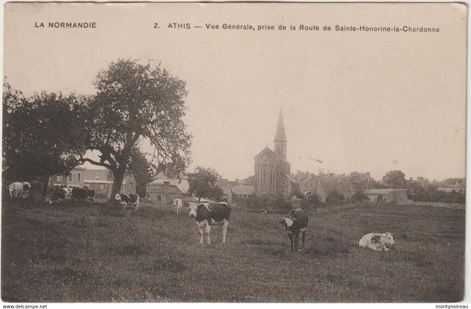 Orne : Env. De Flers : ATHIS  De L ' ORNE :  Rte De  Sainte  Honorine  La  Chardonne , Vache - Athis De L'Orne