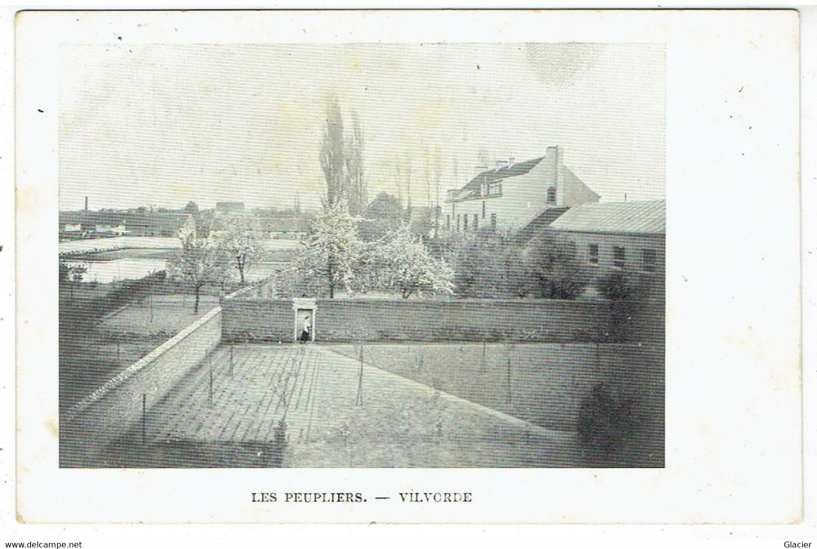 VILVORDE - Les Peupliers - Vilvoorde