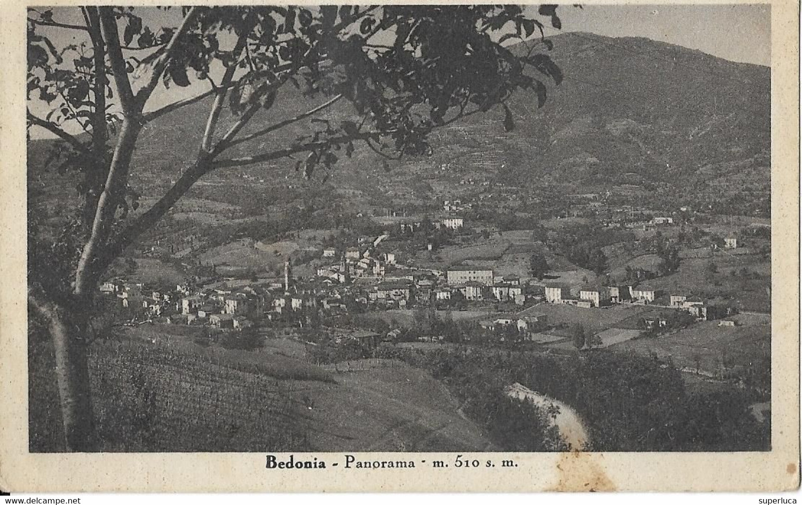 9-BEDONIA-PANORANA-M.519 S.M. - Parma