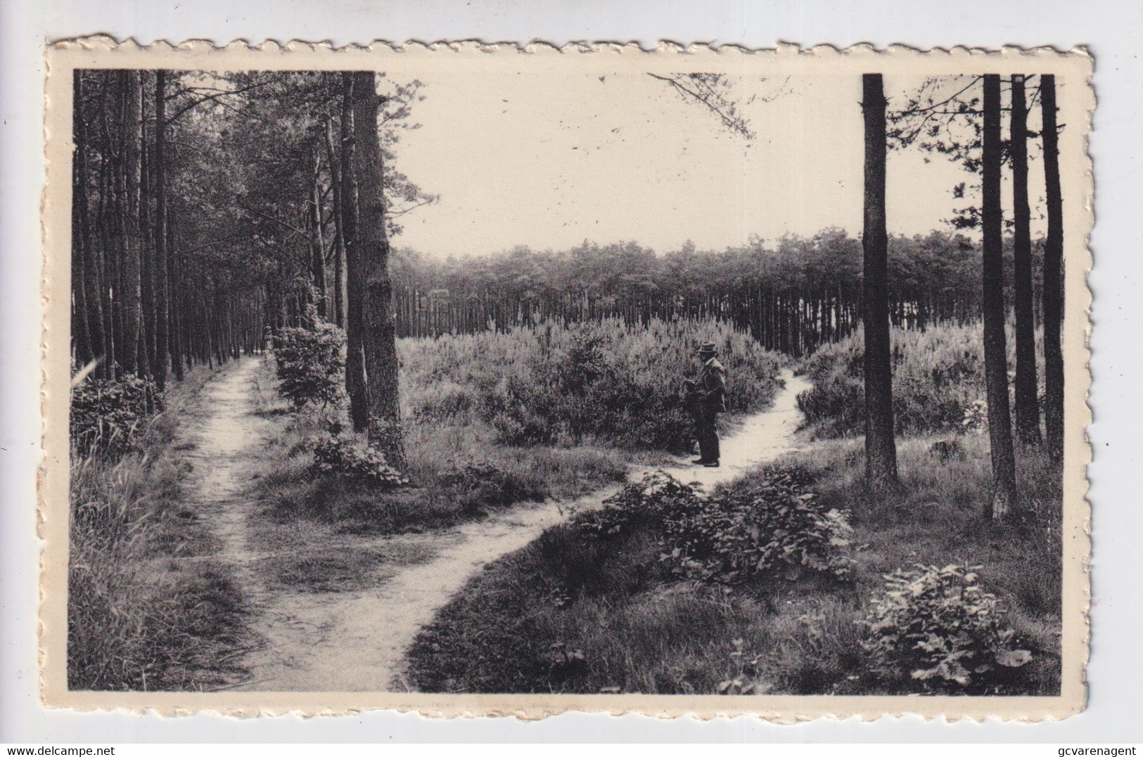 RIJMENAM  BOSJE - Bonheiden