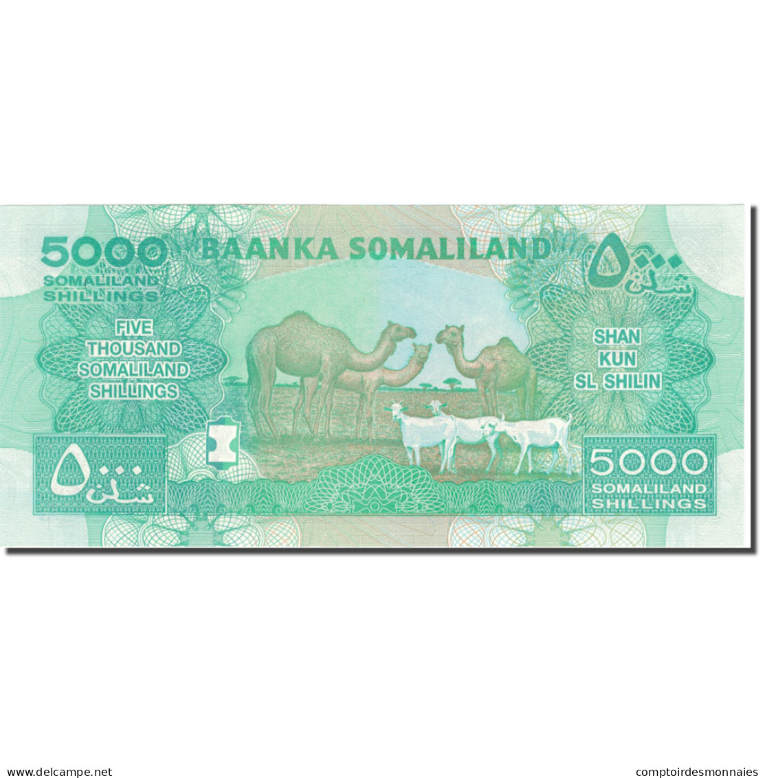 Billet, Somaliland, 5000 Shillings, 2011, KM:21, NEUF - Somalia