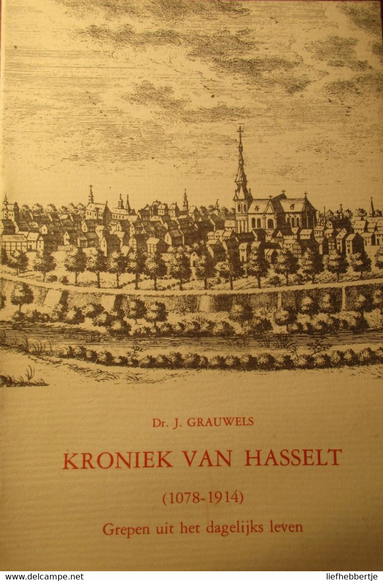 Kroniek Van Hasselt - 1078-1914 - Grepen Uit Het Dagelijks Leven - 1982 - Door J. Grauwels - Ohne Zuordnung