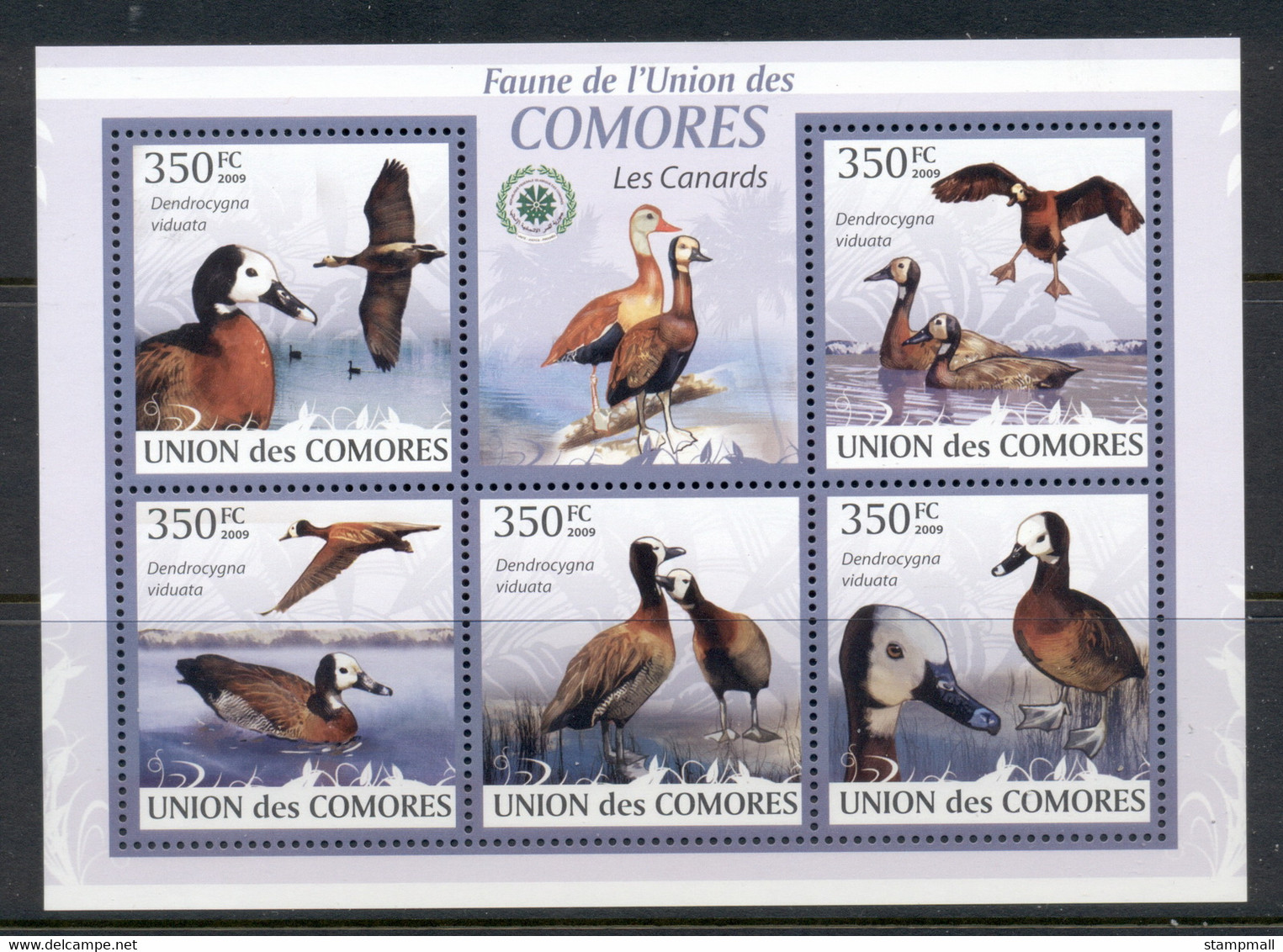 Comoro Is 2009 Birds, Ducks MS MUH - Comores (1975-...)