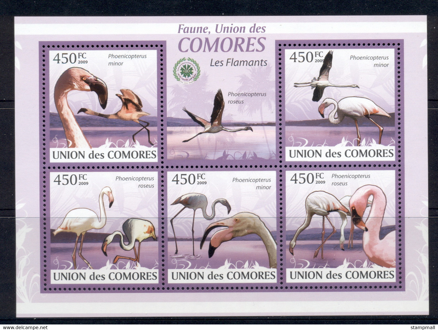 Comoro Is 2009 Birds, Flamingos MS MUH - Comores (1975-...)