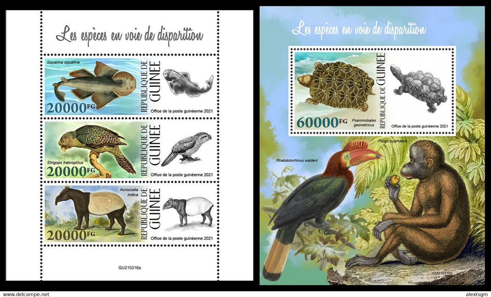 GUINEA 2021 - Endangered Species. M/S + S/S. Official Issue [GU210316] - Guinea (1958-...)