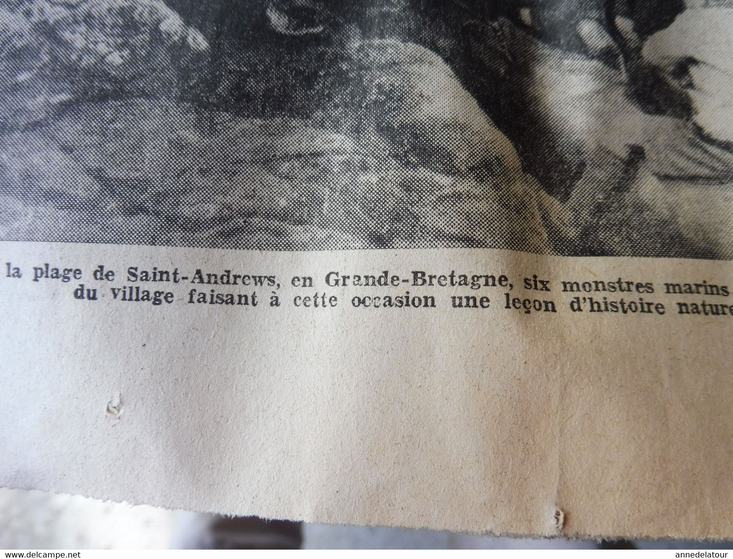 1935 L'AMI DU PEUPLE: Attelage de lions ; Admiration ardente des femmes italiennes pour Mussolini et les sanctions ; etc