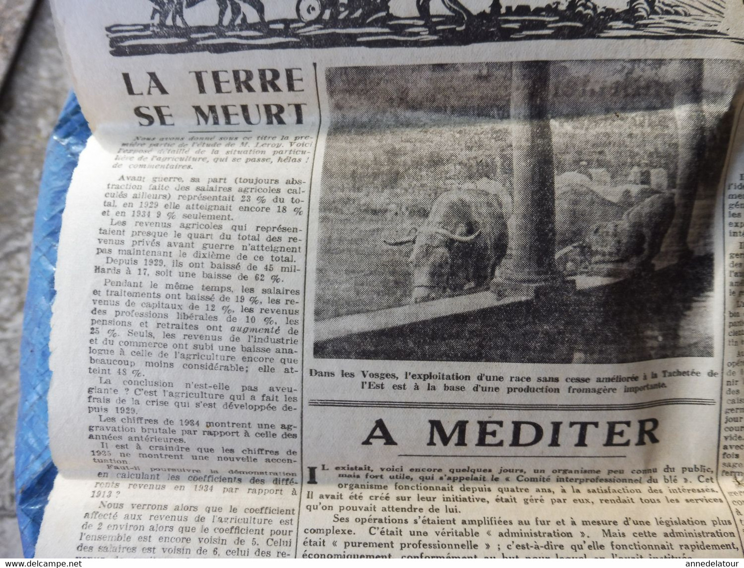 1935 L'AMI DU PEUPLE: Attelage de lions ; Admiration ardente des femmes italiennes pour Mussolini et les sanctions ; etc