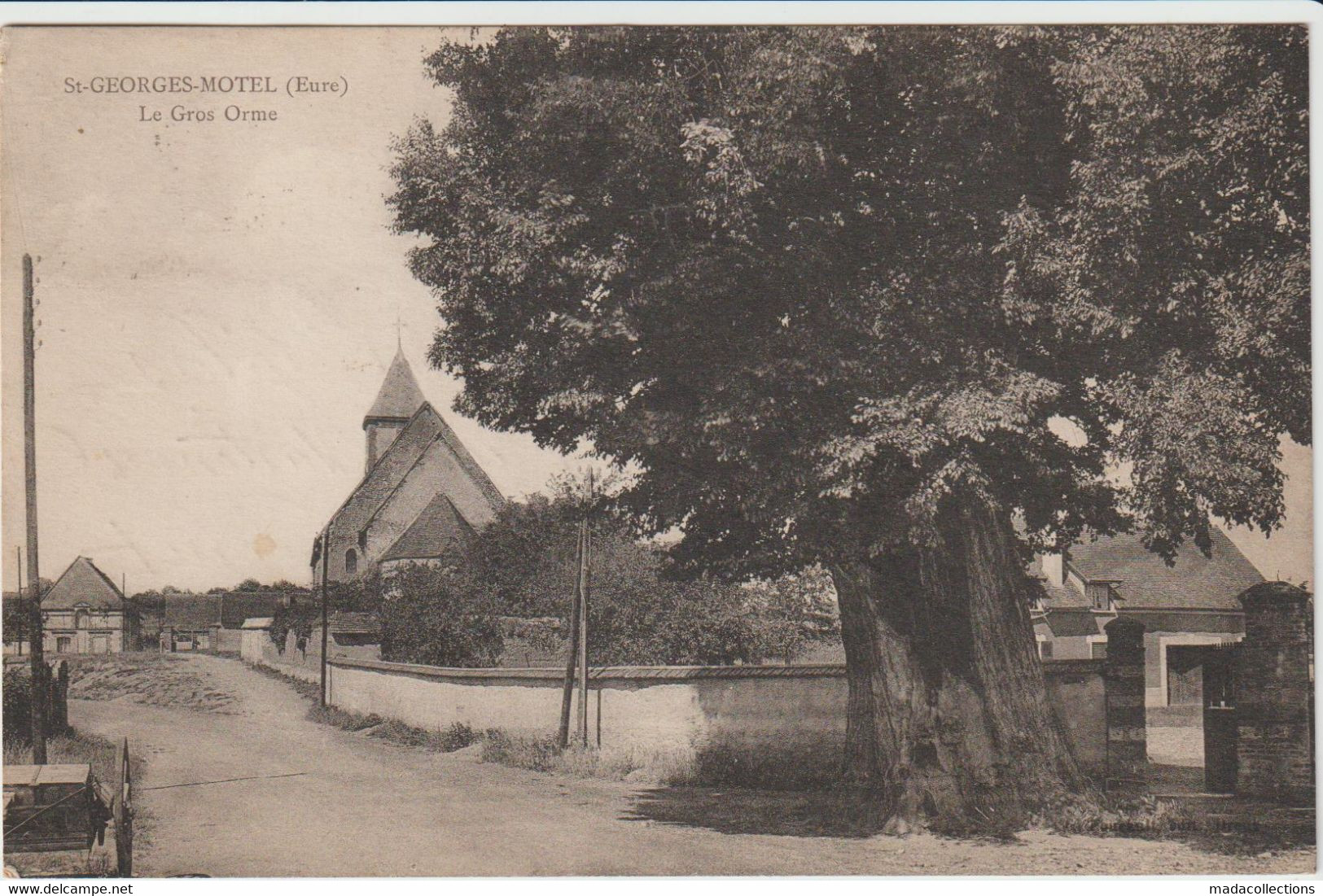 Saint-Georges-Motel (Eure)  Le Gros Orme - Arbre Remarquable - Saint-Georges-Motel