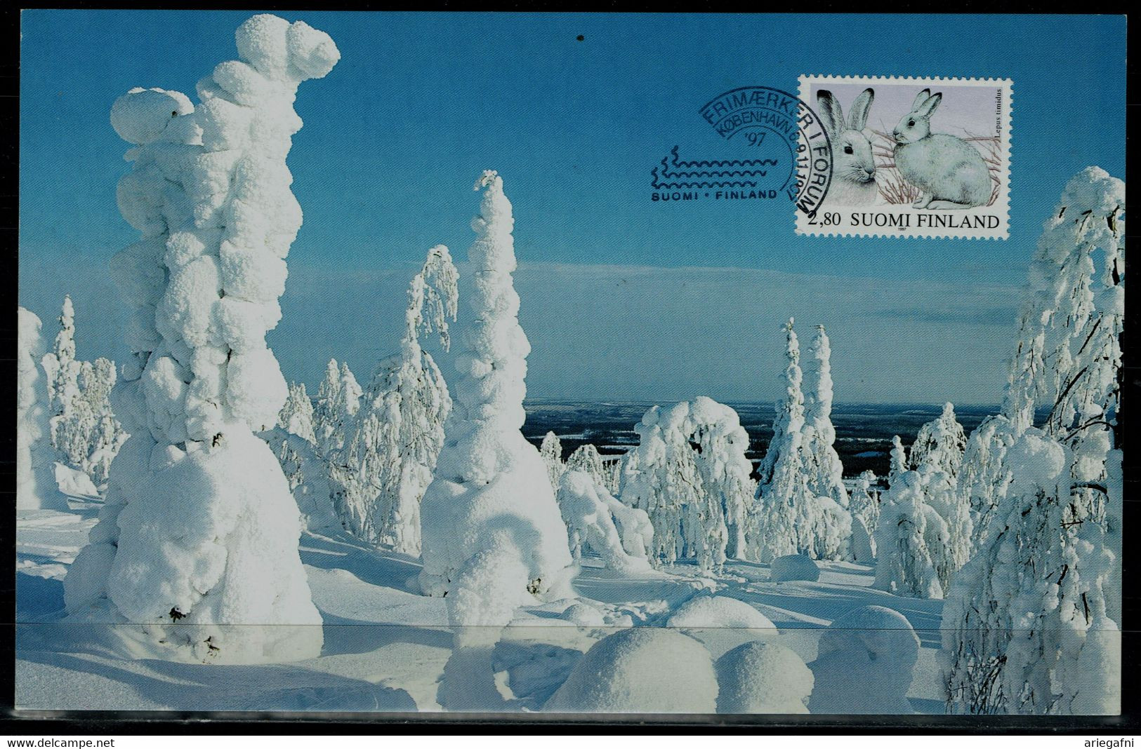 FINLAND 1997 SNOW HARE MAXIMUM CARDS MI No 1380 VF!! - Maximumkaarten