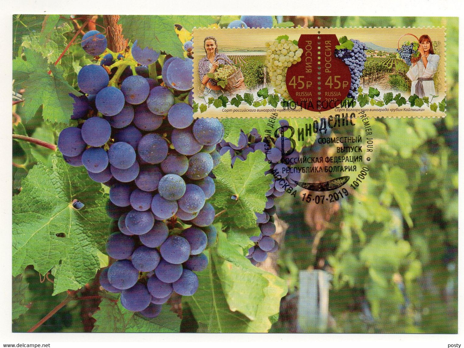 MAXIMUM CARD - CARTE MAXIMUM - RUSSIE - RUSSIA - 2019 - VIN - OENOLOGIE - WINE - WINE MAKING - VIGNE - WINEYARD - - Cartoline Maximum