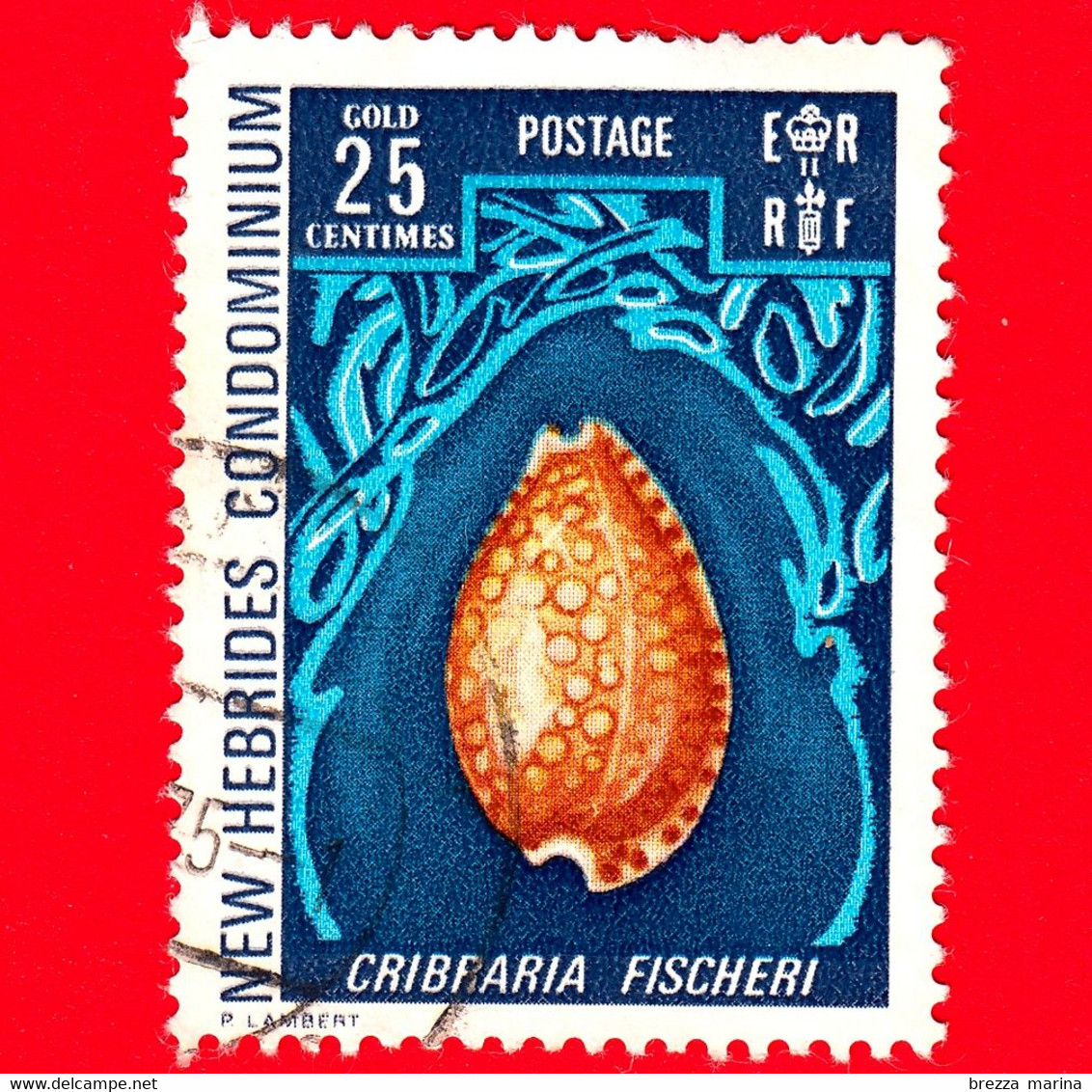 NUOVE EBRIDI - New Hebrides - 1972 - Fauna Marina - Conchiglia - Coquillage - Shell - Cribraria Fischeri - 25 - Gebraucht