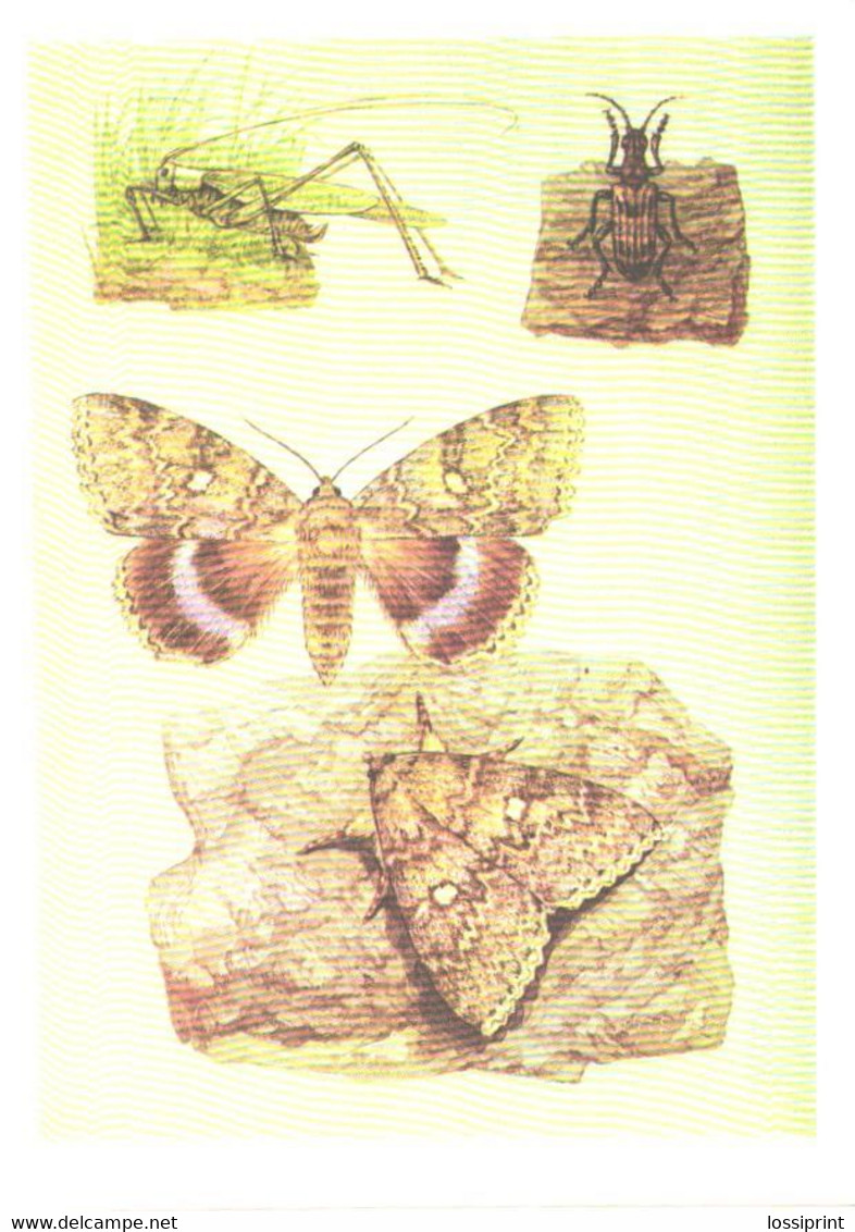 L.V.Aristov:Different Insects, Grasshopper, Butterfly, 1988 - Insectes