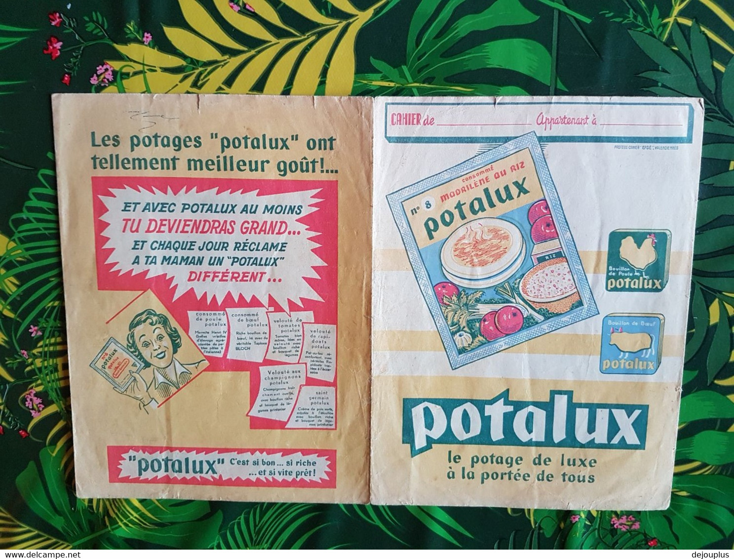 PROTEGE  CAHIER  CONSOMME  AU  RIZ    POTALUX - Potages & Sauces