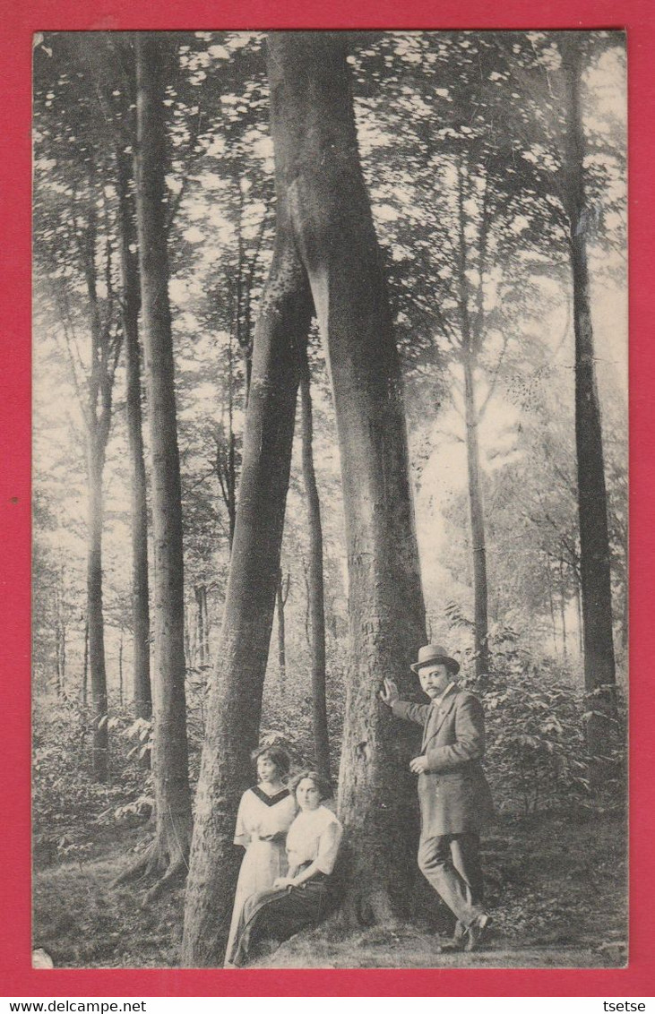 Feluy-Arquennes - L'arbre Aux Deux Jambes - Bois D'Arpes ... Personnages  - 1914 ( Voir Verso ) - Seneffe