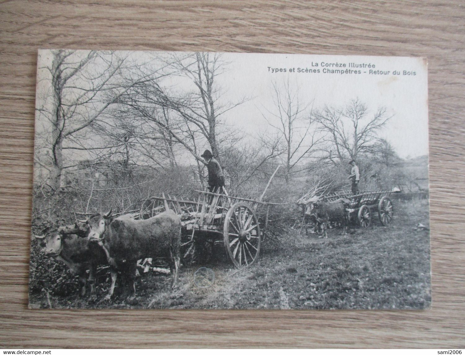 19 LA CORREZE ILLUSTREE TYPES ET SCENES CHAMPETRES RETOUR DU BOIS ATTELAGES BOEUFS ANIMEE - Autres & Non Classés