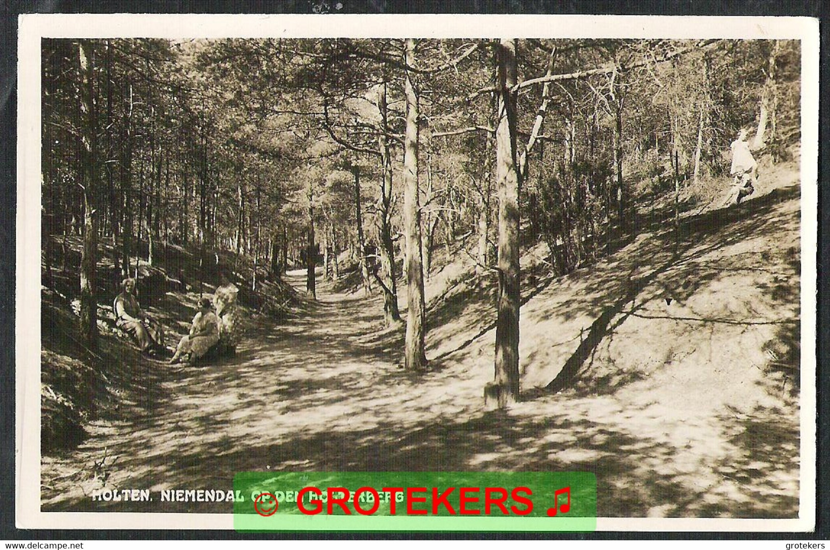 HOLTEN Holterberg Het Niemendal Ca 1935 - Holten