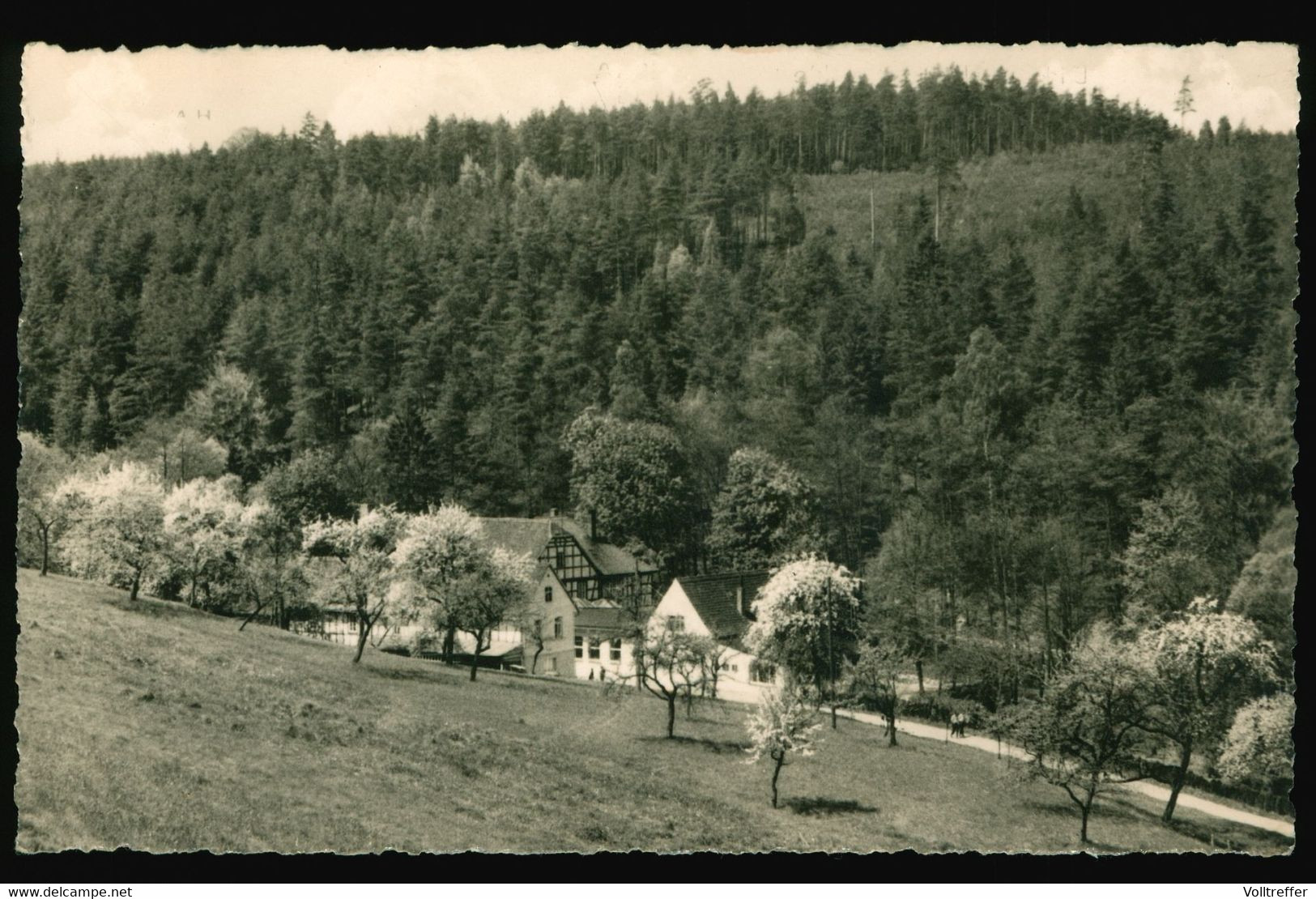 DDR Kleinformat AK Um 1963 Blick Zur Naupoldsmühle Bei Eisenberg In Thüringen - Eisenberg