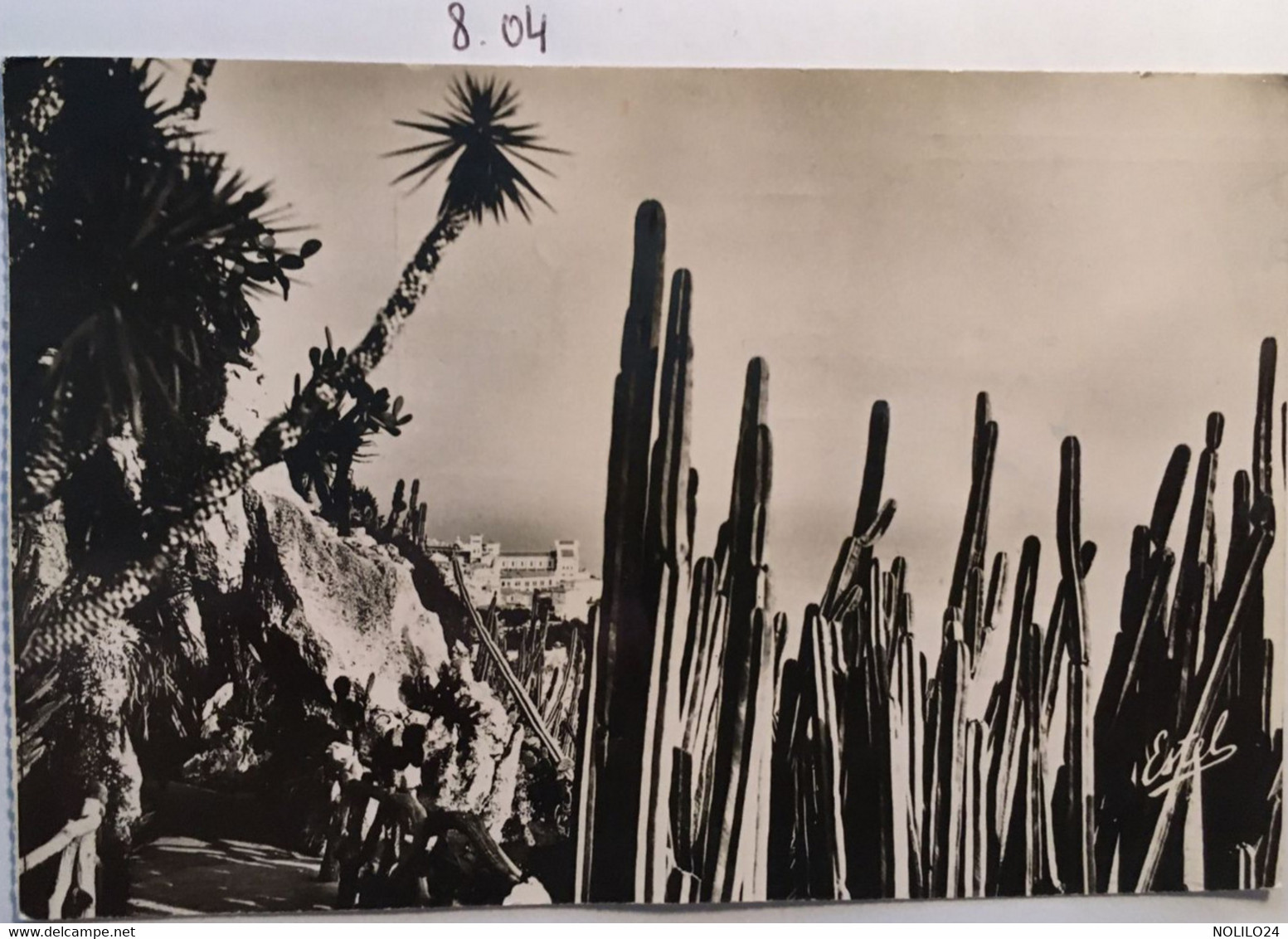 Cpsm, écrite En 1954, Monaco, Le Rocher Vu Du Jardin Exotique, éd De Luxe "Estel" - Jardin Exotique