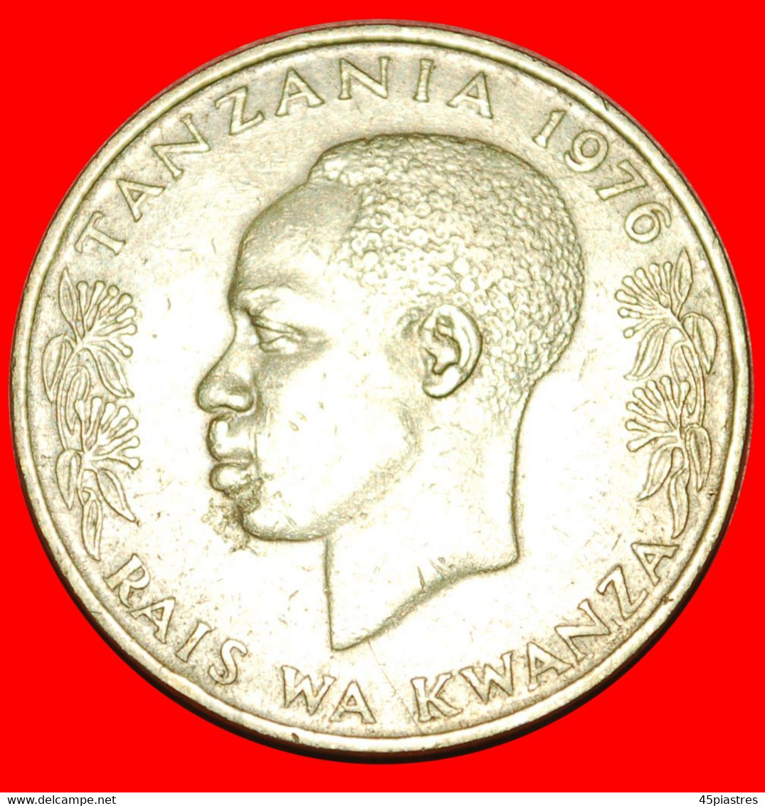 * BIRD (1966-1984): TANZANIA ★ 20 SENTI 1976! LOW START ★ NO RESERVE! - Tanzania