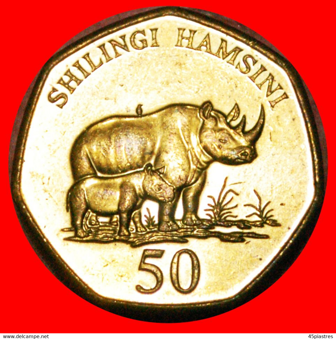 * HEPTAGON RHINOCEROS (1996-2015): TANZANIA ★ 50 SHILINGI 2012 MINT LUSTRE! LOW START ★ NO RESERVE! - Tanzanie