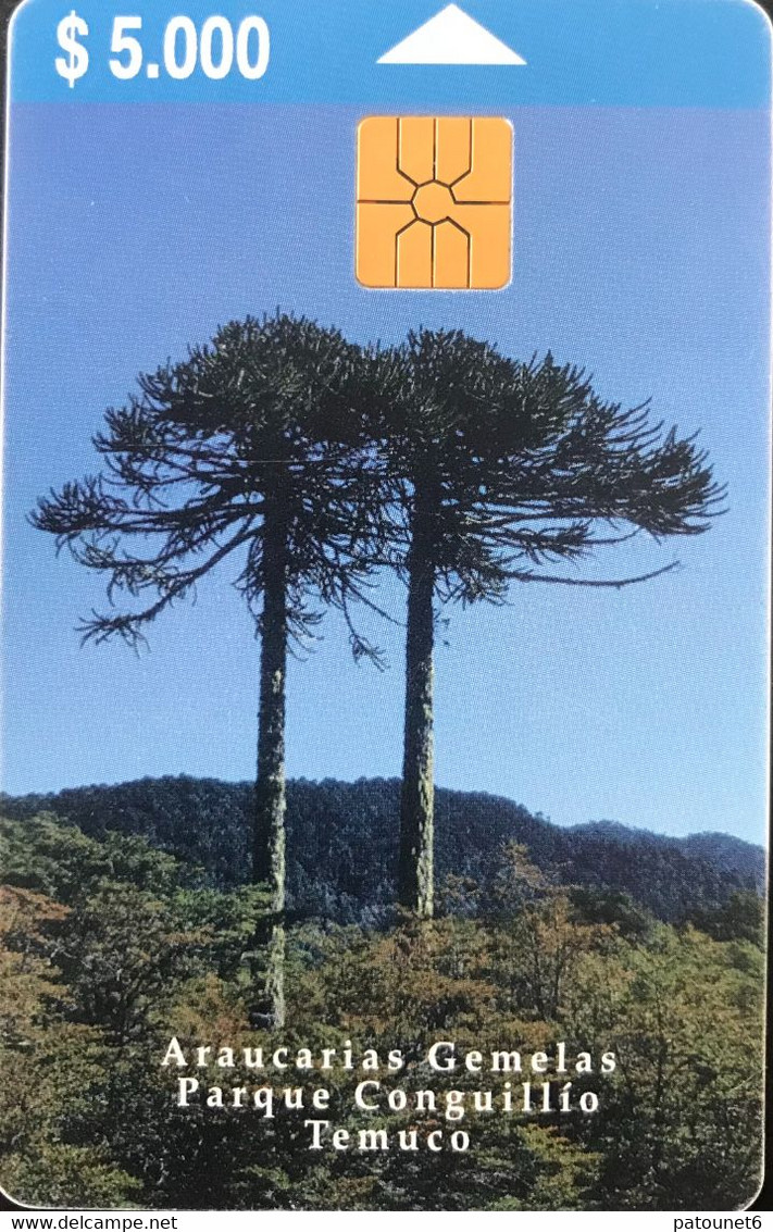 CHILI - Phonecard - Telefonica - Araucarias Gemelas  -  $ 5.000 - Chile