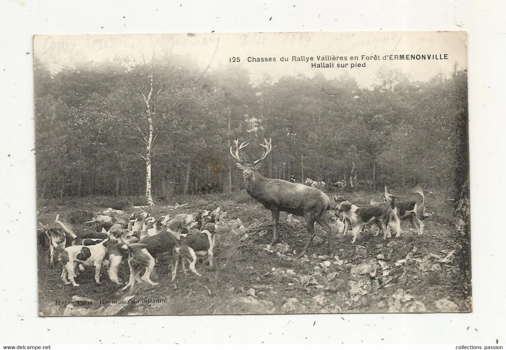 Cp, Sports , CHASSE A COURRE , Chasses Du RALLYE VALLIERES En Forêt D'ERMENONVILLE , 95 , Hallali Sur Pied, Voyagée 1914 - Hunting