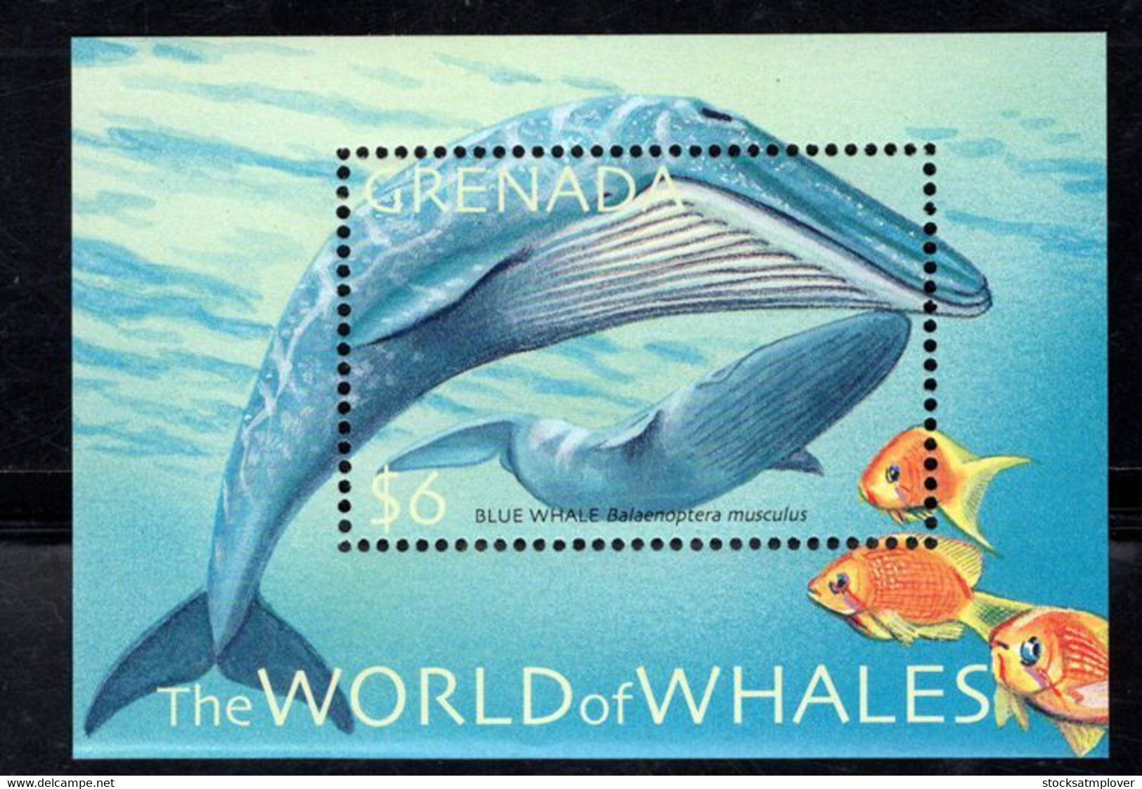 Grenada  2001  Marine Life  Blue Whales - Grenada (1974-...)