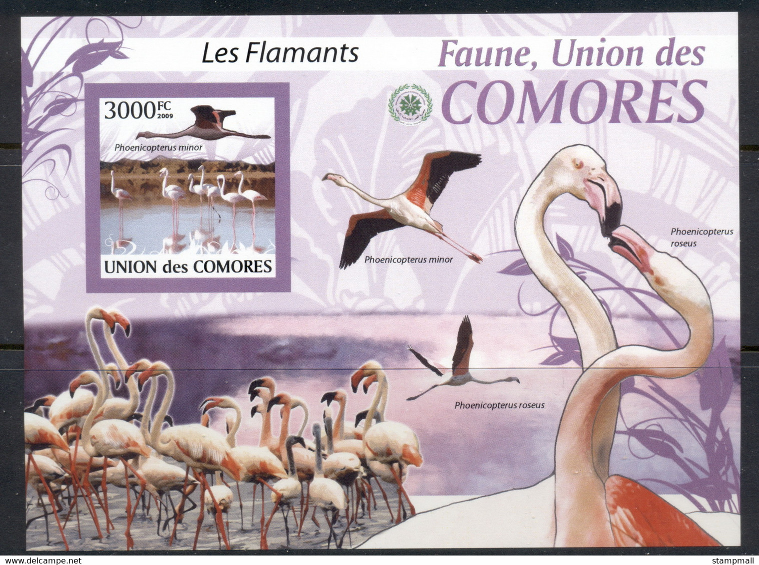 Comoro Is 2009 Birds, Flamingos MS IMPERF MUH - Comores (1975-...)