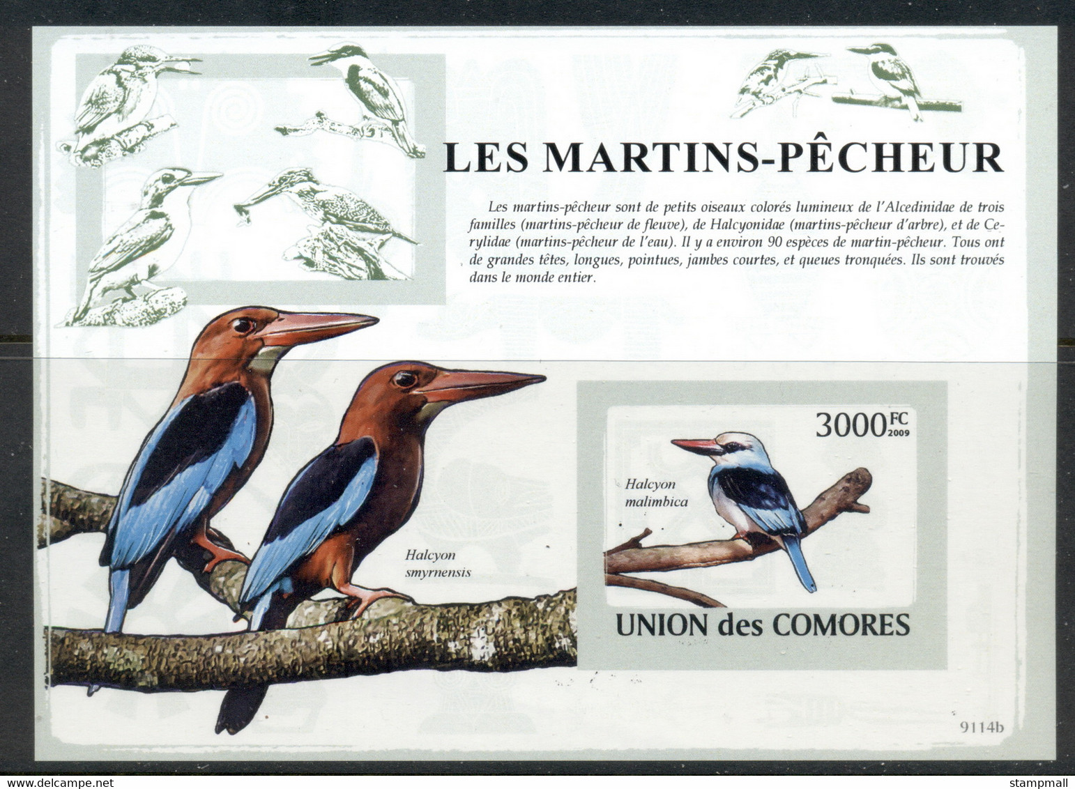 Comoro Is 2009 Birds, Kingfishers MS IMPERF MUH - Comores (1975-...)