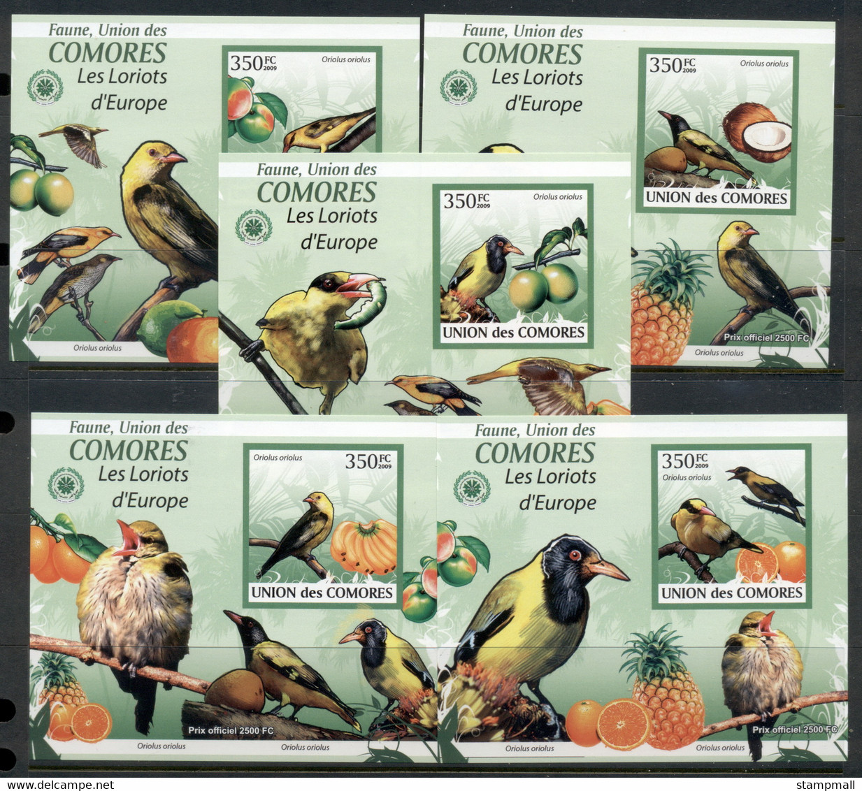 Comoro Is 2009 Birds, Songbirds 5x Deluxe MS IMPERF MUH - Comores (1975-...)