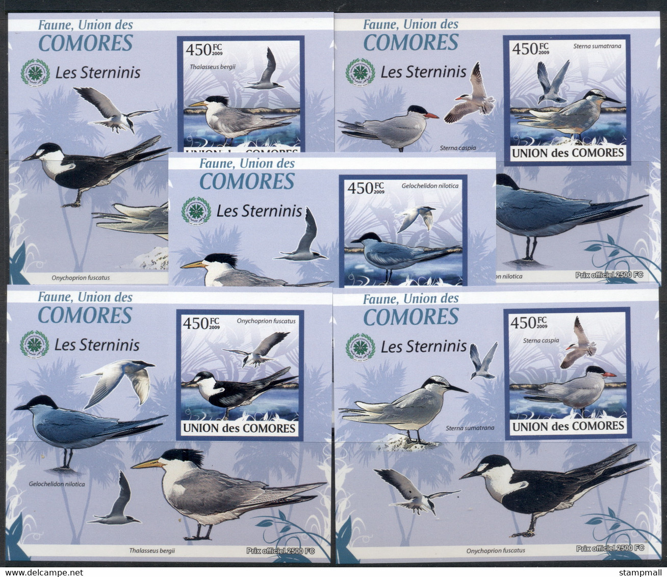 Comoro Is 2009 Birds, Terns 5x Deluxe MS IMPERF MUH - Comores (1975-...)